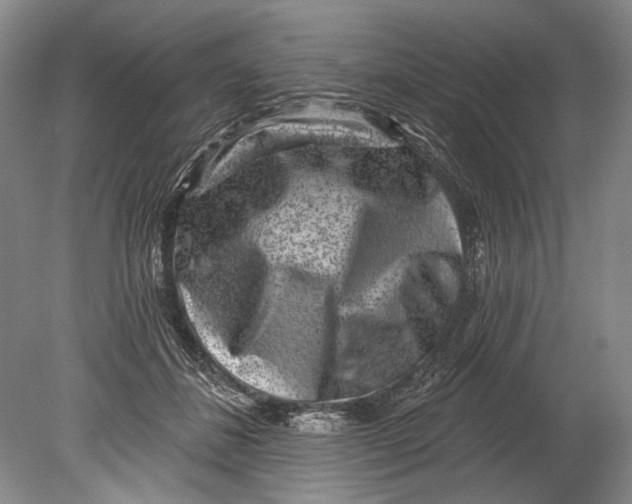 X0000080200508200612302341