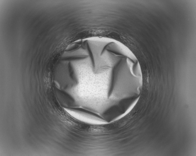 X0000080200510200612302341