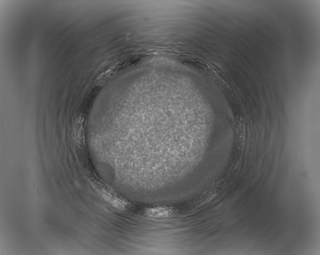 X0000080200511200612302341