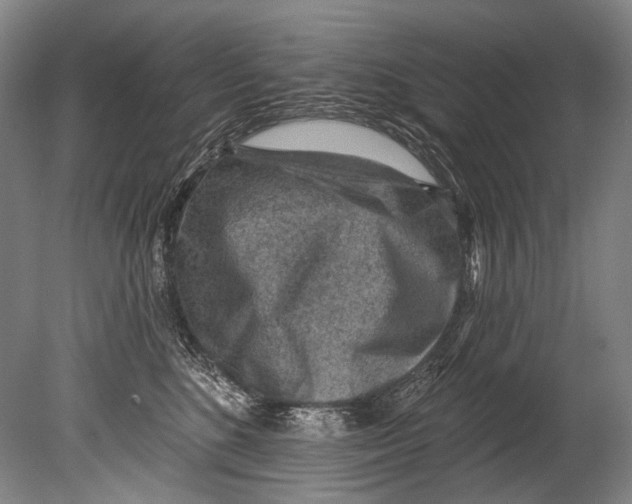 X0000080200520200612302341