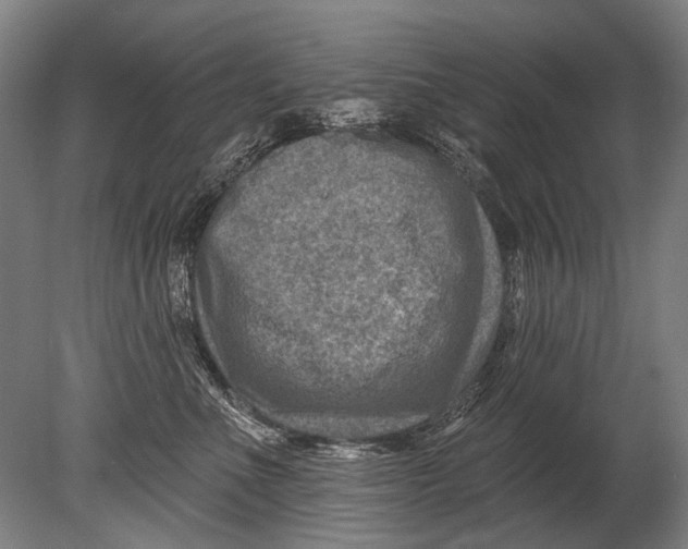 X0000080200523200612302341