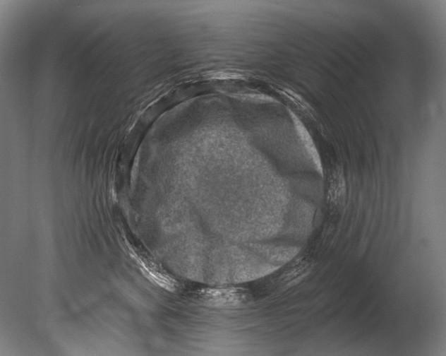 X0000080200524200612302341