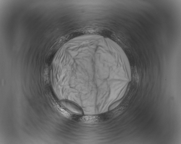 X0000080200526200612302341