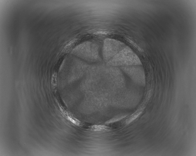 X0000080200528200612302341