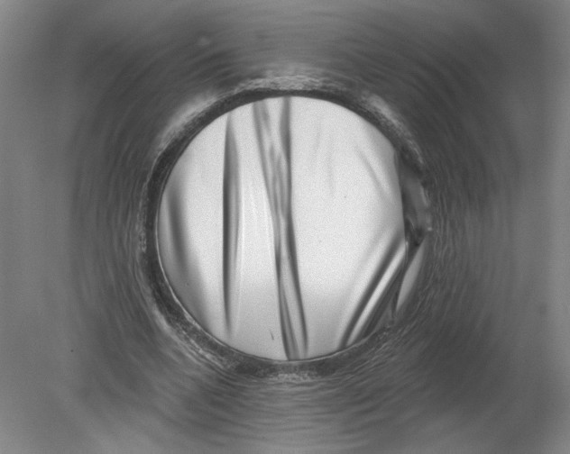 X0000080200536200612302340