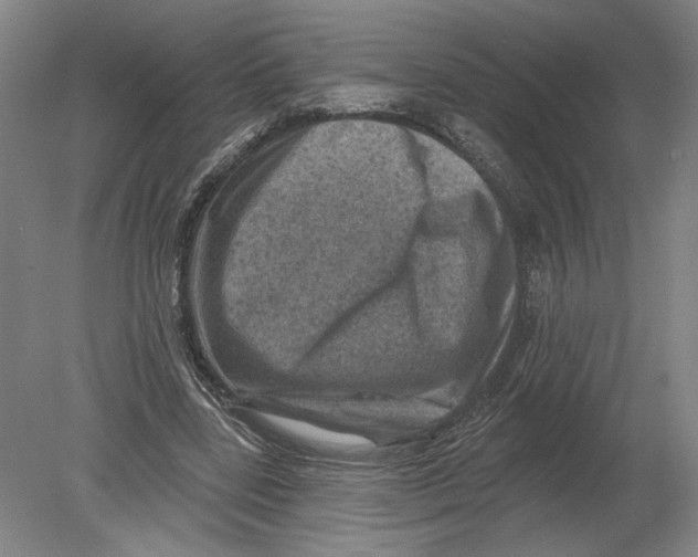 X0000080200539200612302340