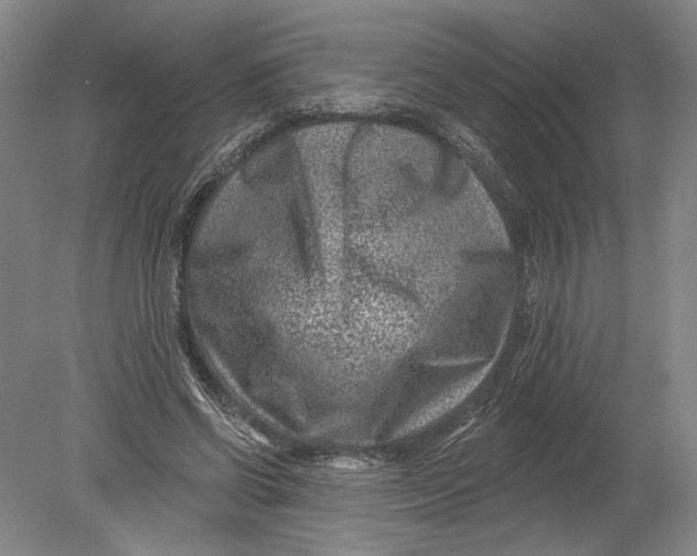 X0000080200542200612302340