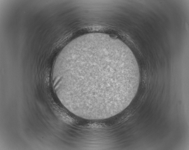 X0000080200545200612302340