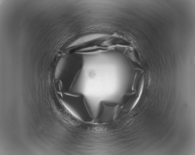 X0000080200546200612302340