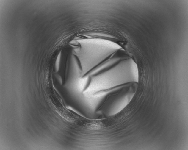 X0000080200548200612302340