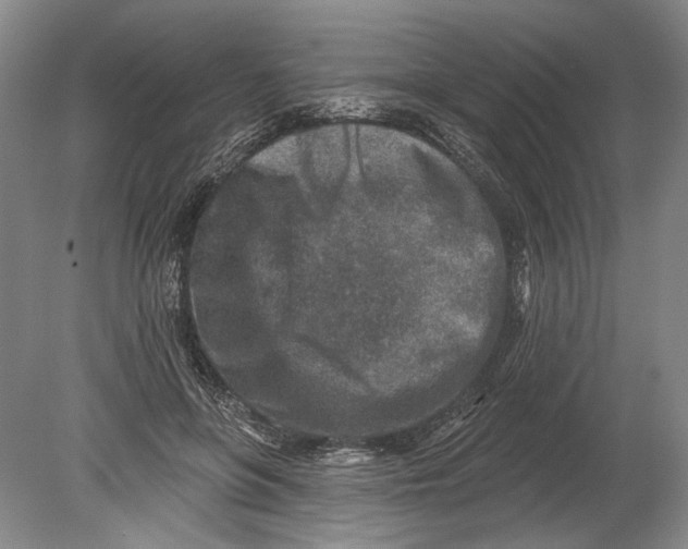 X0000080200551200612302340