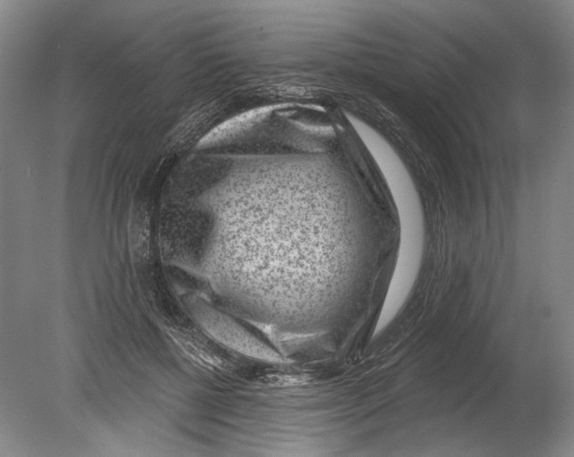 X0000080200552200612302340