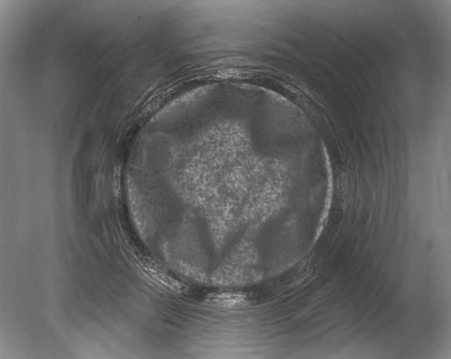 X0000080200554200612302340