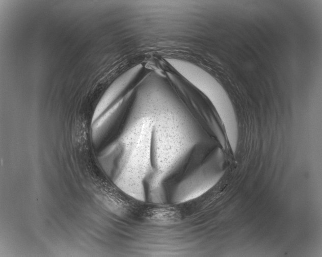 X0000080200555200612302340