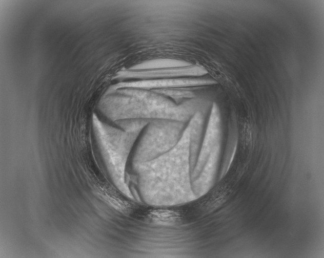 X0000080200557200612302340