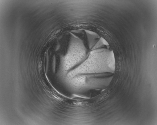 X0000080200558200612302340