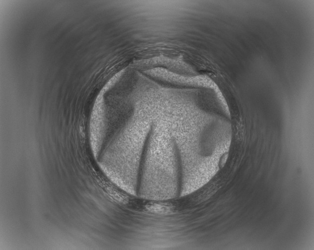 X0000080200561200612302340