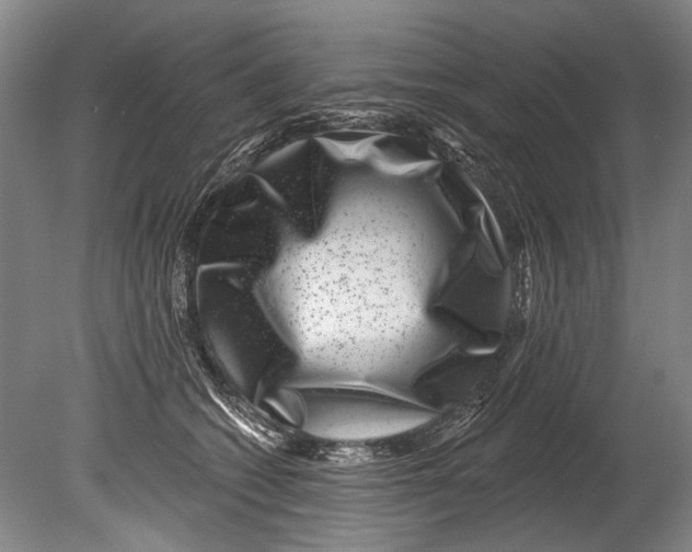 X0000080200562200612302340