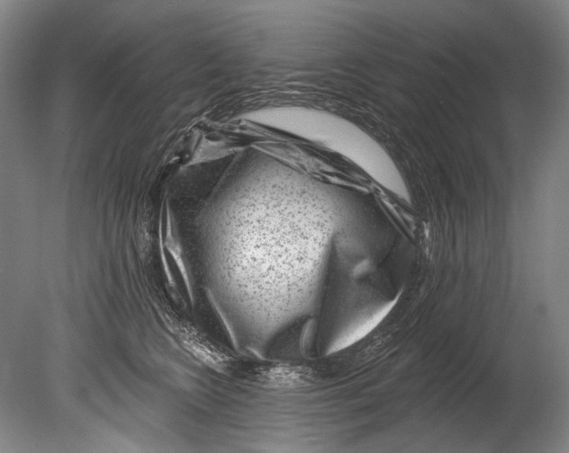 X0000080200566200612302341