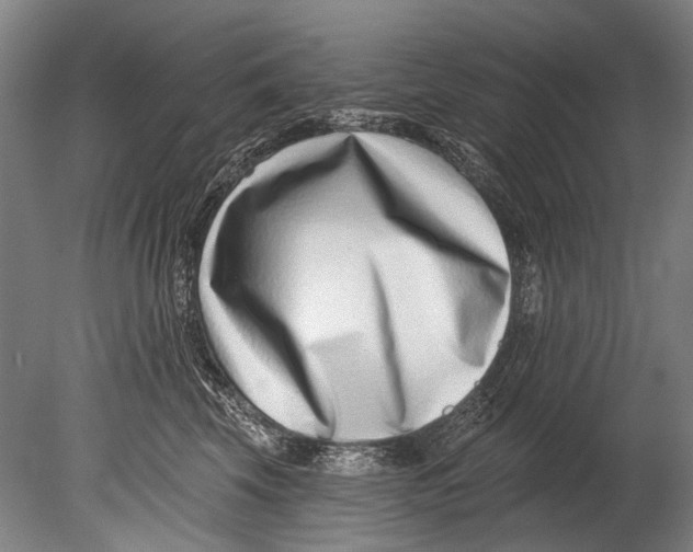 X0000080200569200612302341