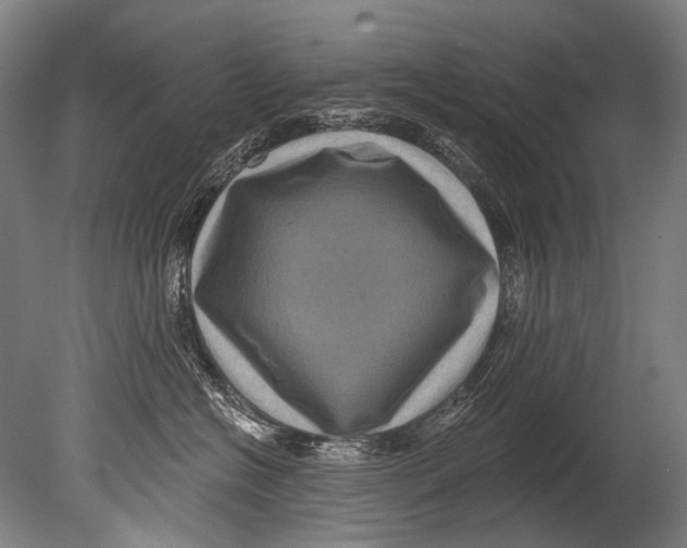 X0000080200574200612302341