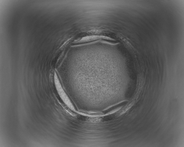 X0000080200576200612302341