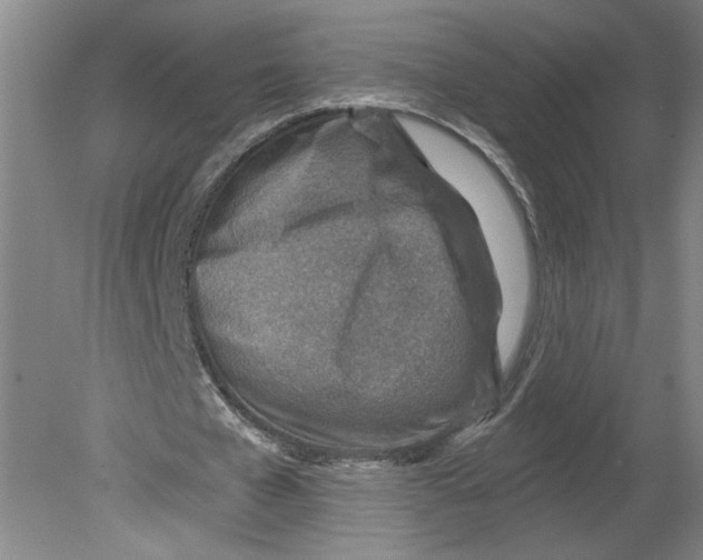 X0000080200577200612302340