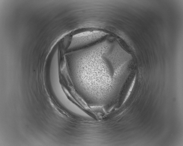 X0000080200580200612302340