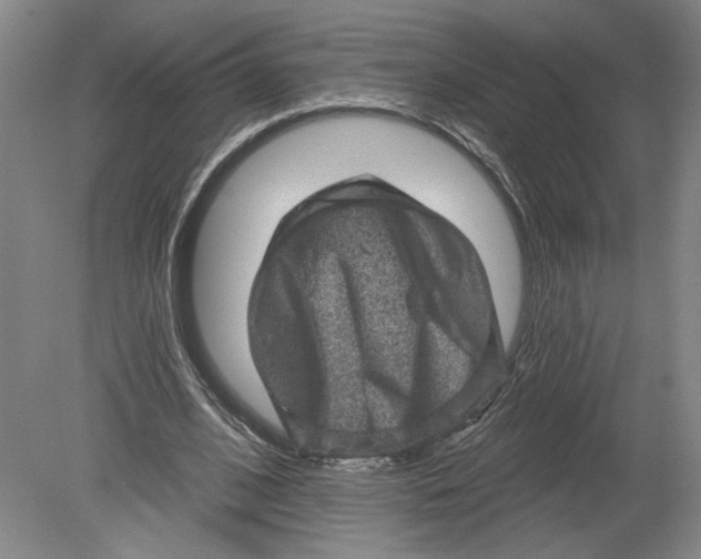 X0000080200584200612302340