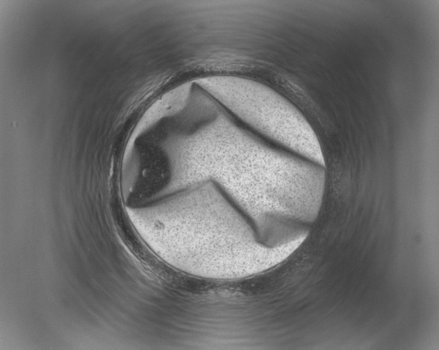 X0000080200586200612302340