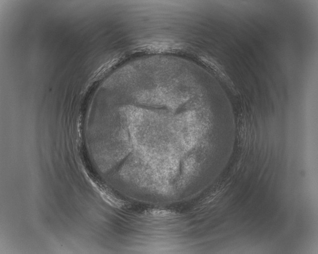 X0000080200590200612302340