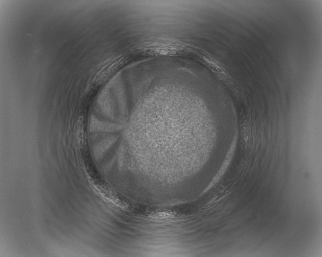 X0000080200594200612302340