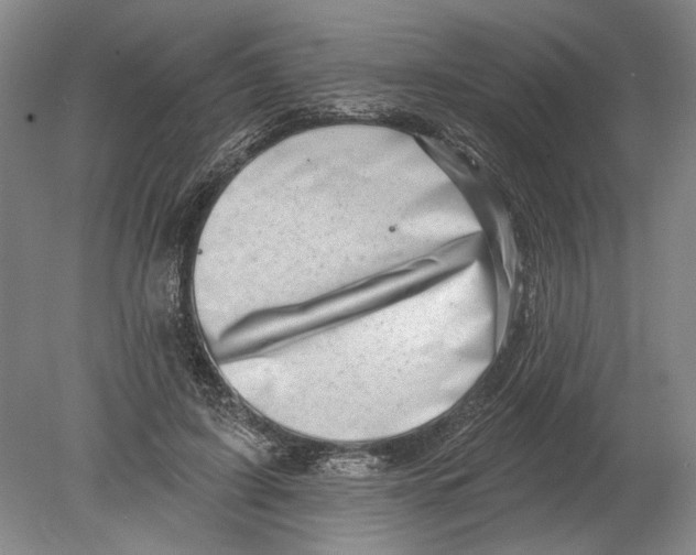 X0000080200595200612302340