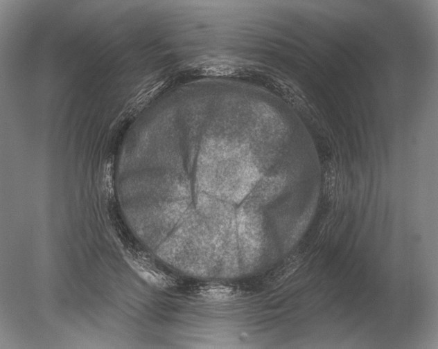 X0000080200598200612302340