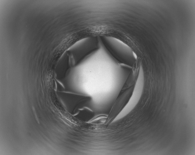 X0000080200601200612302339