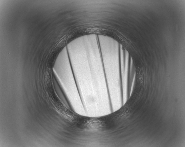 X0000080200603200612302339