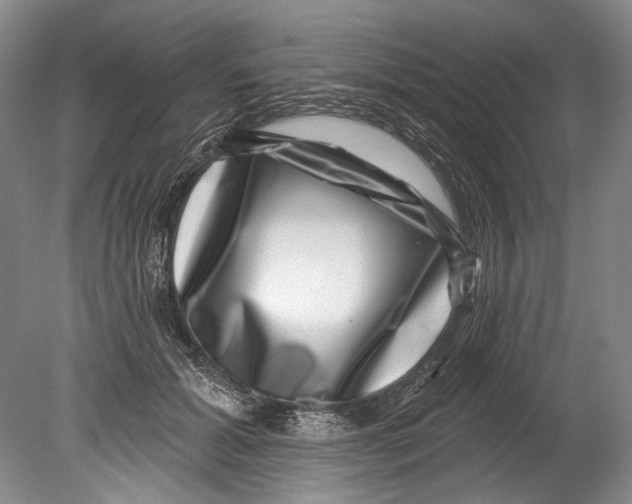 X0000080200605200612302339