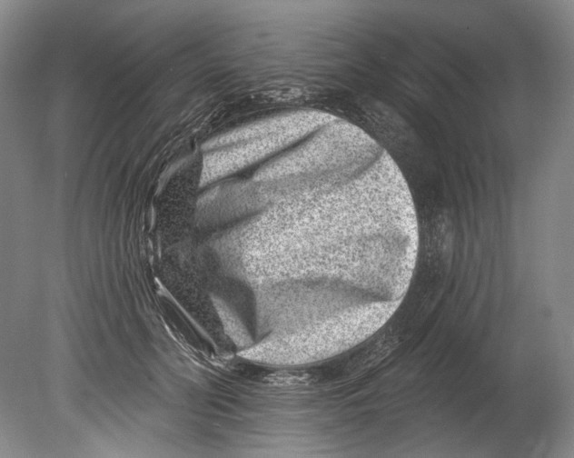 X0000080200606200612302339