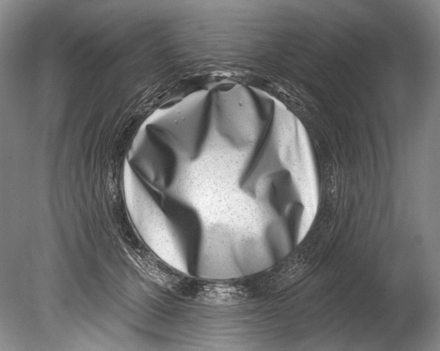 X0000080200607200612302339