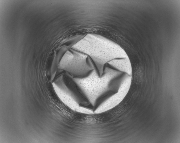 X0000080200608200612302339