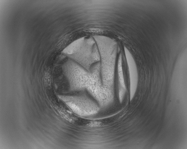 X0000080200609200612302339