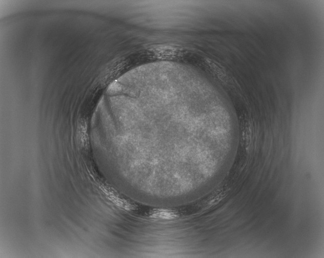 X0000080200610200612302339