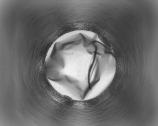 X0000080200611200612302339