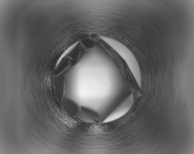 X0000080200613200612302339