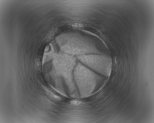 X0000080200614200612302339