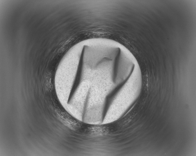 X0000080200615200612302339