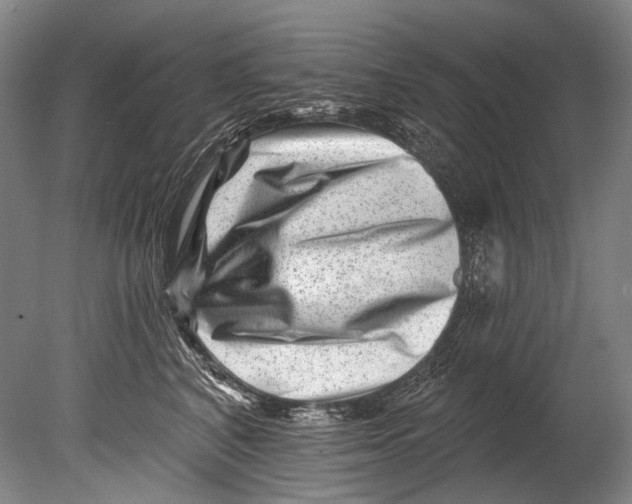 X0000080200616200612302339