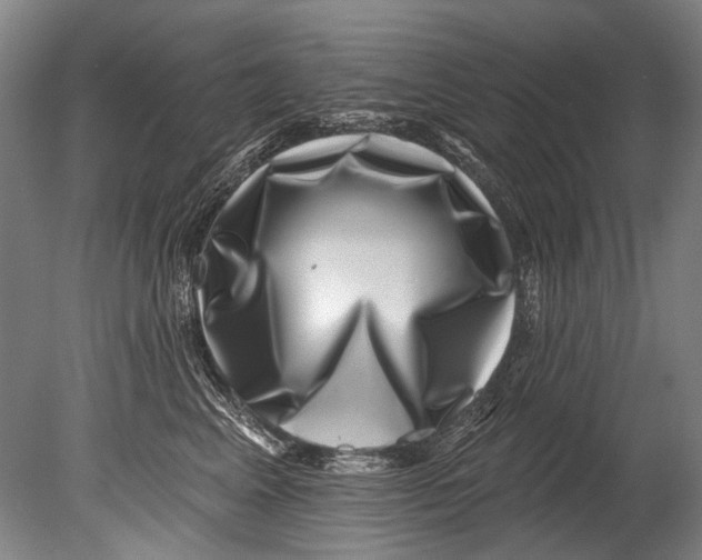 X0000080200617200612302339