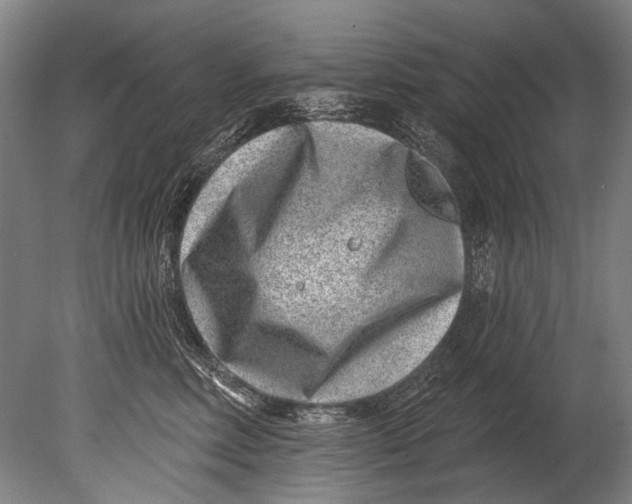 X0000080200618200612302339