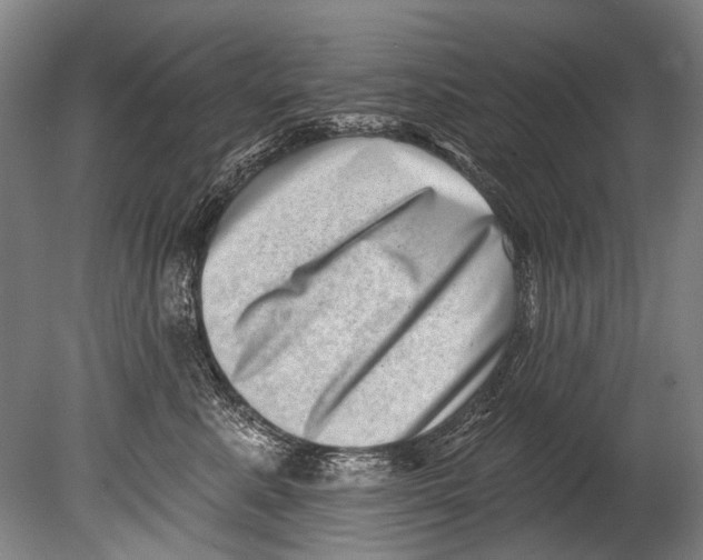 X0000080200619200612302339